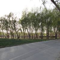 ناژوان